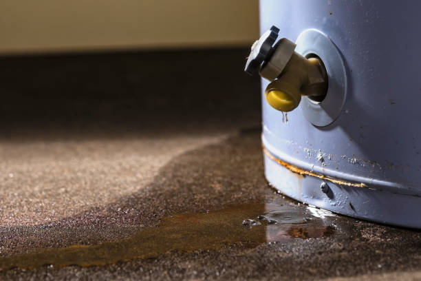 Best Flood restoration services  in Haledon, NJ