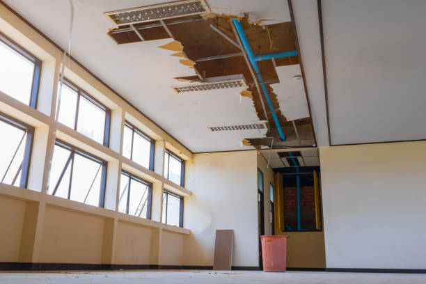 Best Carpet water damage restoration  in Haledon, NJ