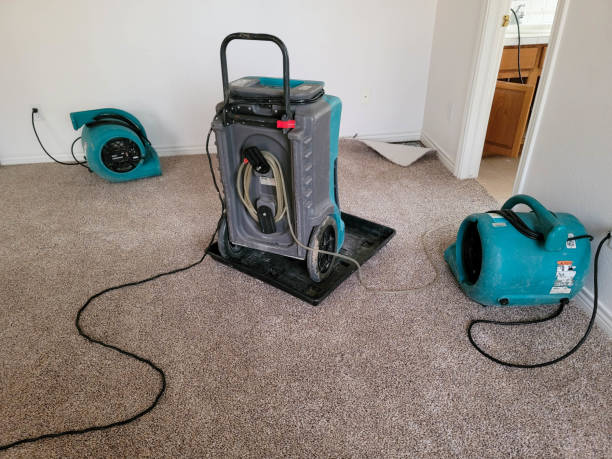 Best Ceiling water damage repair  in Haledon, NJ