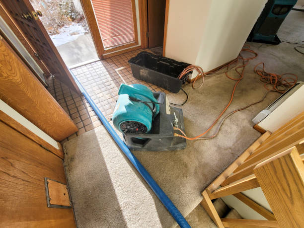 Best Fire Damage Restoration  in Haledon, NJ