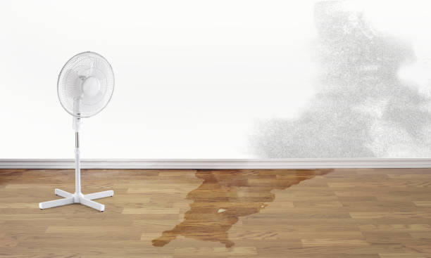 Best Emergency water damage restoration  in Haledon, NJ